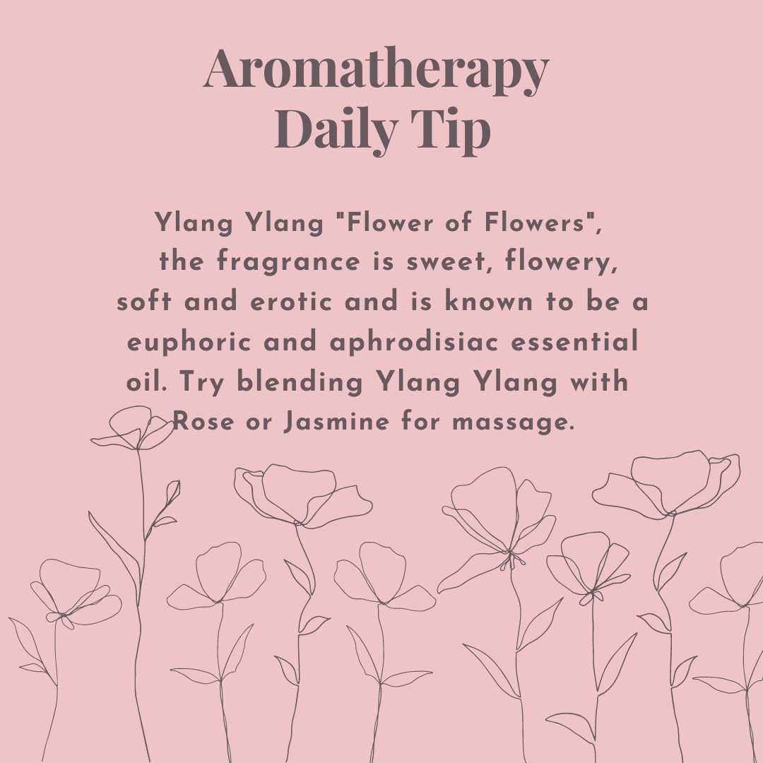 ylang Ylang essential oil, sweet, flowery, soft and erotic
