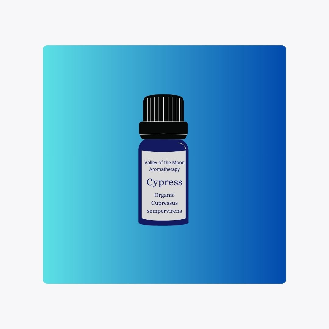 Organic Cypress essential oil bottle on a blue gradient background