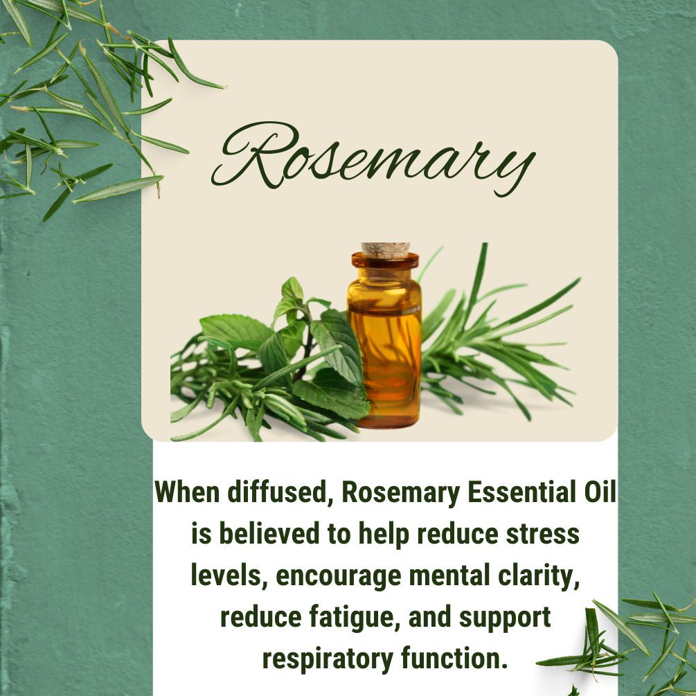 Rosemary essential oil bottle with fresh rosemary leaves on a textured green background