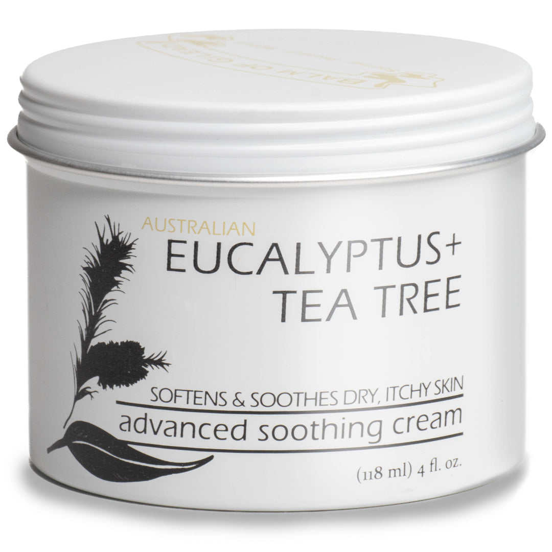 Jar of Australian Eucalyptus + Tea Tree advanced soothing cream on a white background